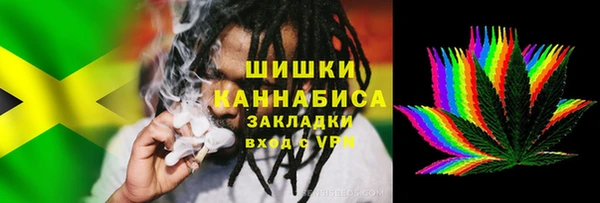 ГАЛЛЮЦИНОГЕННЫЕ ГРИБЫ Белокуриха