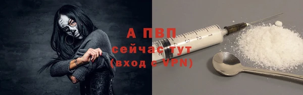ГАЛЛЮЦИНОГЕННЫЕ ГРИБЫ Белокуриха
