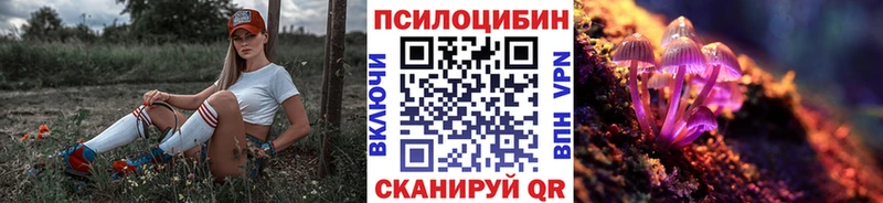 Псилоцибиновые грибы Magic Shrooms  Гусев 